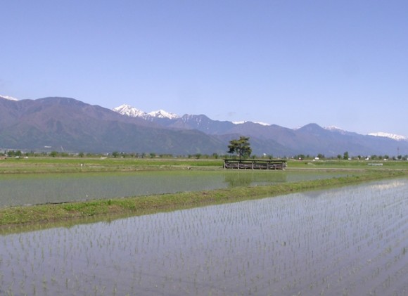 春の安曇野風景