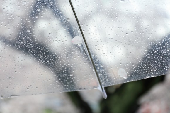 雨　傘　梅雨のイメージ