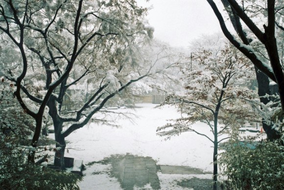 雪・冬景色