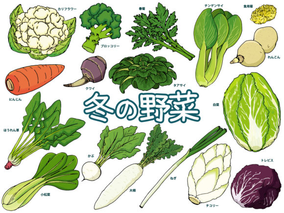 冬野菜