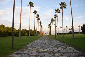 福岡海の中道